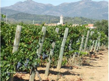 De Girona a Figueres en bici - Imagen 5