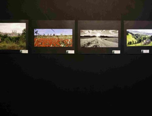 Fiesta Presentación de Viajes Rutas Pangea 2026