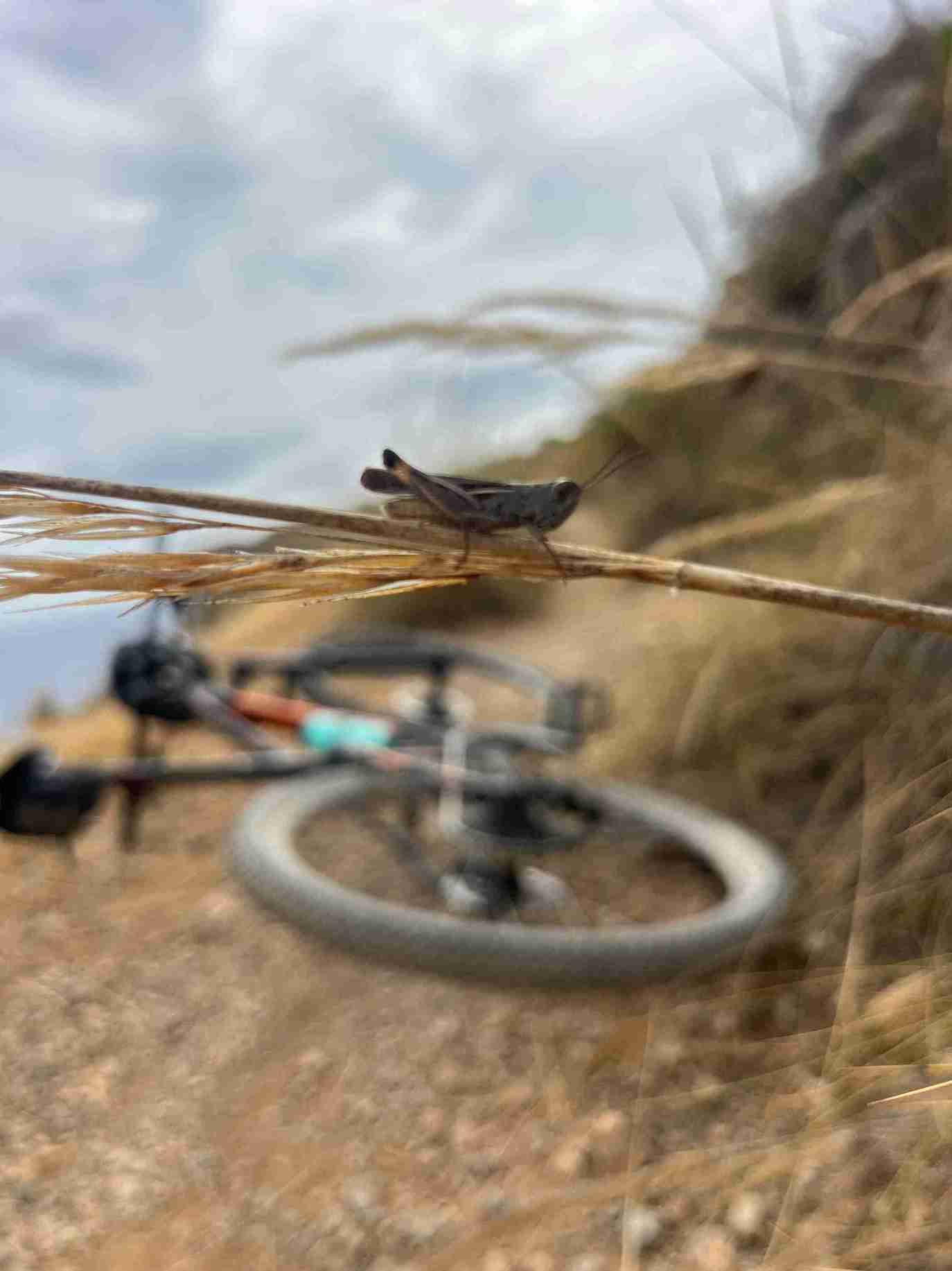 Mazarrón en bici, minas y Mediterráneo - Imagen 19