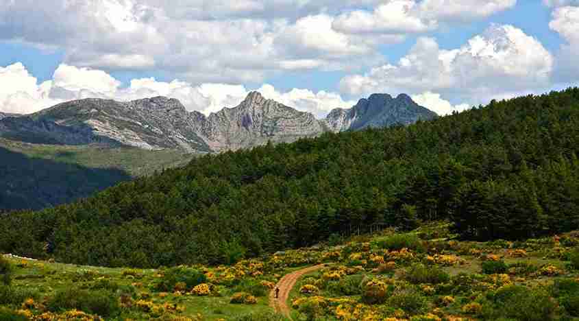 Picos: el gran desafío - Imagen 3