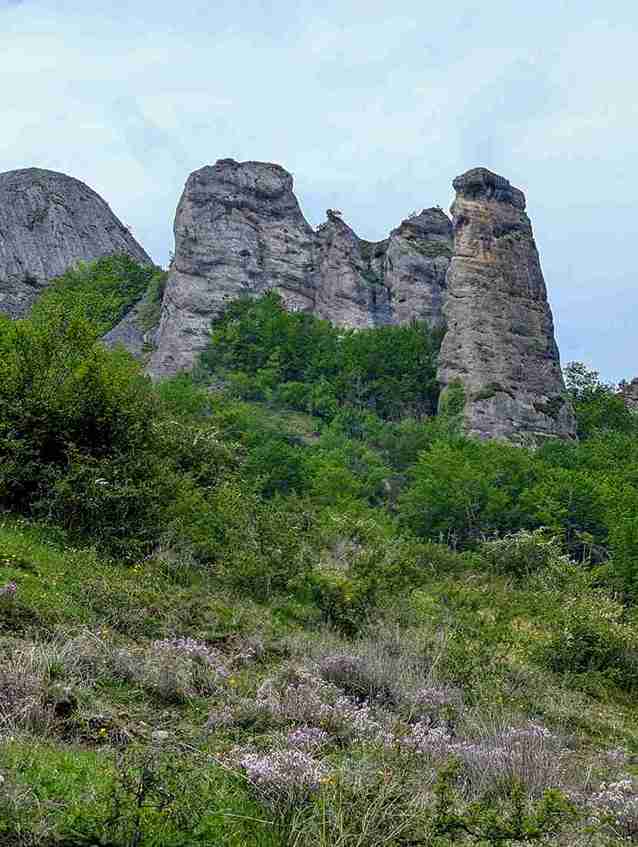 Alto Najerilla