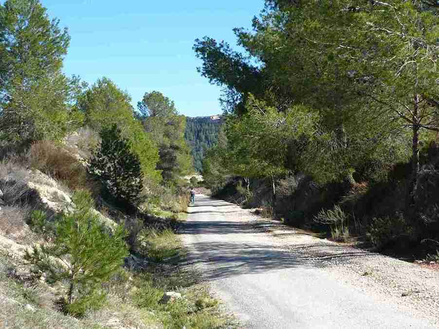 Vías Verdes de Murcia - Imagen 8